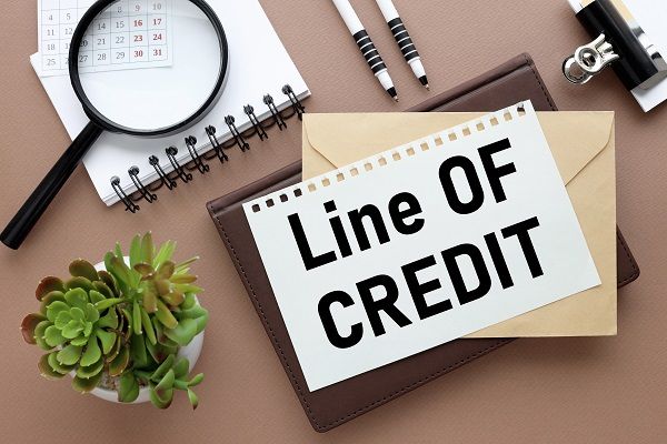 Capital Max | Your Guide to Getting a Private Line of Credit